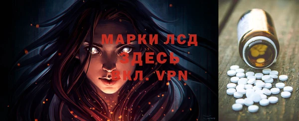 индика Семикаракорск