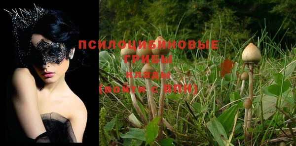 мескалин Гусиноозёрск