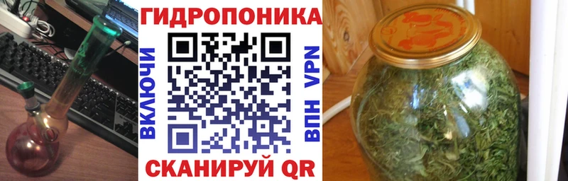 Конопля гибрид  Купить где  Петровск 
